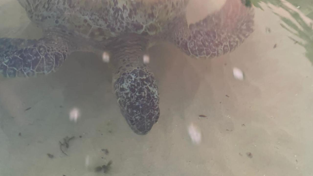 Resident Villa Unawatuna Kültér fotó
